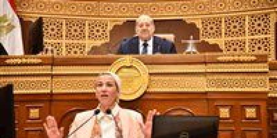 نائب بالشيوخ لوزيرة البيئة:« أنا من الإسكندرية واللى شوفناه في العاصمة ميتحكيش..الحمد لله على كل حال»
