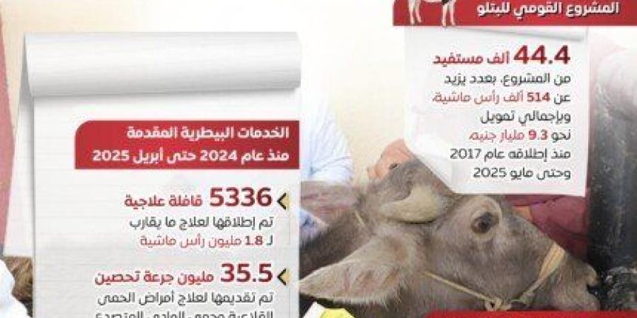 مجلس الوزراء: توفير الأضاحي واللحوم بأسعار مناسبة لتلبية احتياجات المواطنين «إنفوجراف»