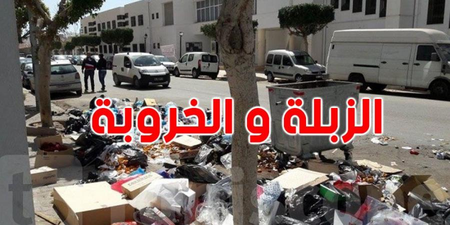 عاجل - معاليم الزبلة والخروبة : فرصة لتسوية وضعيتك الجبائية بشروط ميسّرة