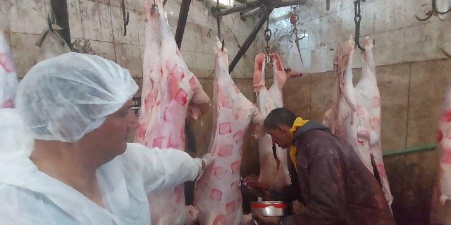 بيطرى البحر الأحمر ترفع درجة الاستعداد لعيد الاضحى