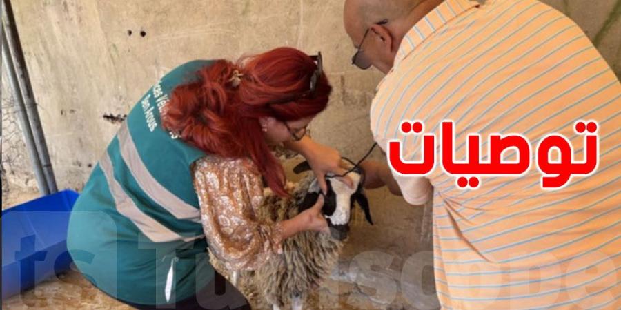 تحذير من وزارة الفلاحة: حرارة الصيف تهدد أضاحي العيد وهذه هي الحلول