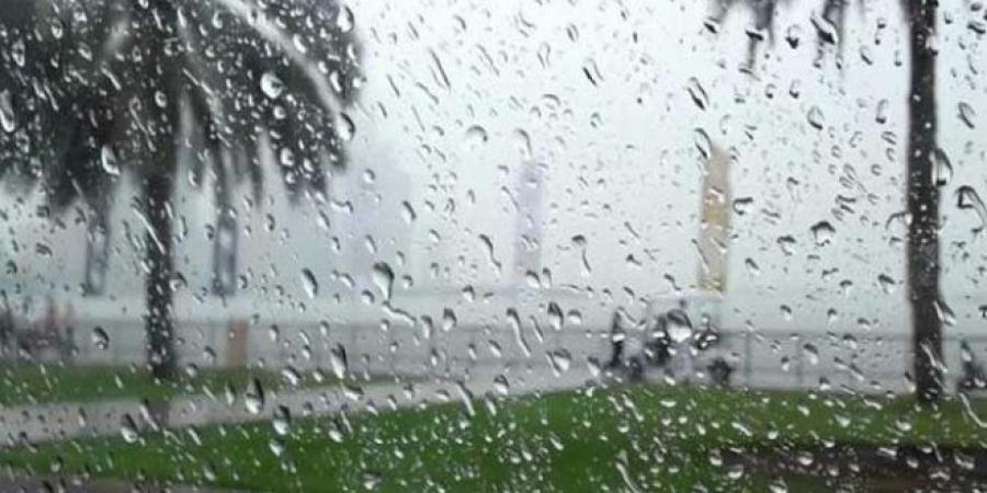 عاجل/ أمطار منتظرة عشية اليوم بهذه الولايات..