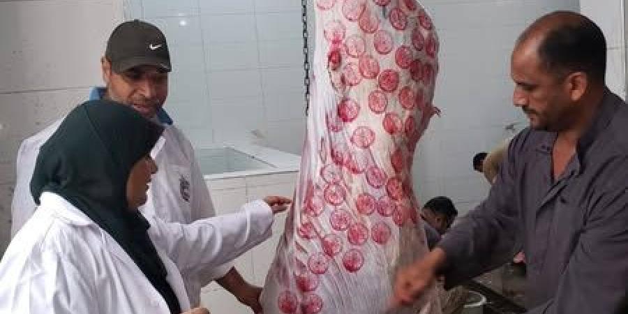 مجازر الإسماعيلية تعمل بكامل طاقتها خلال العيد