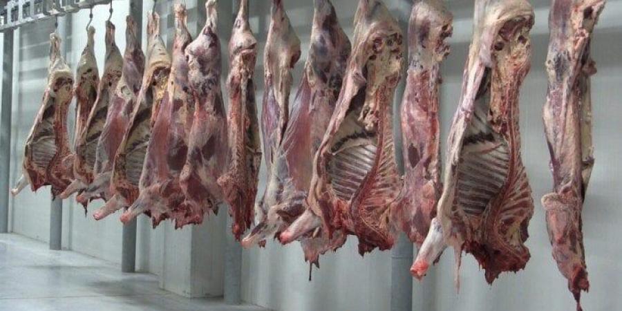 محافظ البحر الأحمر يشدد على ذبح الأضاحي بالمجازر: بيئة نظيفة وصحة عامة في العيد