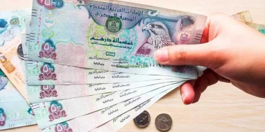 استقرار غير متوقع.. سعر الدرهم الإماراتي أمام الجنيه المصري اليوم الجمعة 6 يونيو 2025
