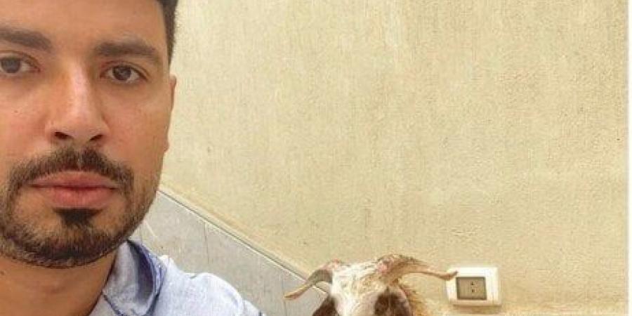 «هيموتوك يا غبي اهرب».. محمد أنور يحتفل بعيد الأضحى على طريقته
