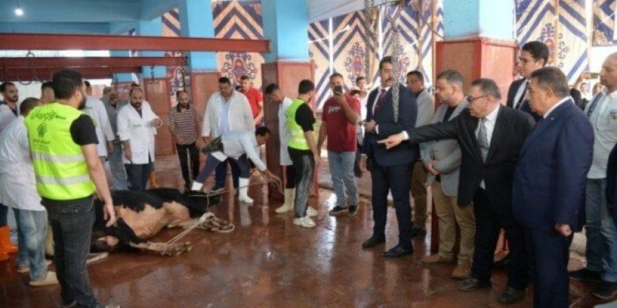 محافظ الدقهلية يشهد ذبح الأضاحي بمجزر طنامل ويؤكد على سلامة اللحوم ووصولها للمستحقين