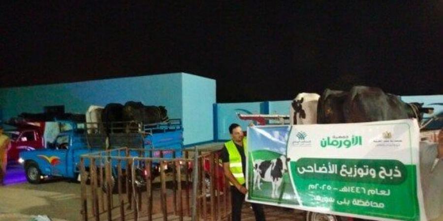 «الأورمان» تذبح 45 عجلًا في بني سويف وتستعد لتوزيع 50 طن لحوم على الأسر الأكثر احتياجًا