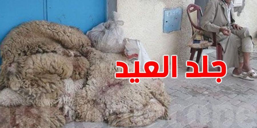 كيف تحافظ على جلد الأضحية في الطقس الحار قبل وصول البلدية؟