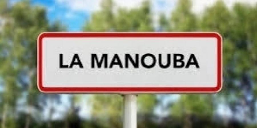منوبة: تدخلات بلدية استثنائية من أجل رفع فضلات وجلود عيد الاضحى