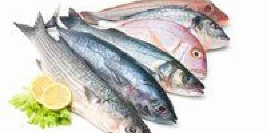 تبدأ من 30 جنيه.. أسعار الأسماك اليوم السبت 7 يونيو