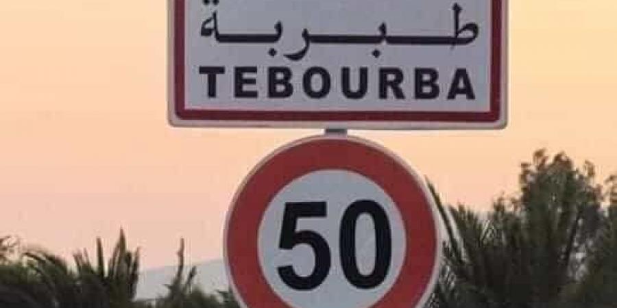 منوبة: انطلاق تهيئة المسبح البلدي بطبربة نهاية جوان الجاري