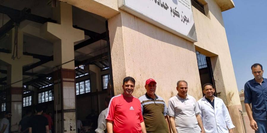 ذبح وتوزيع 103من العجول على الاولى بالرعاية و1184 رأس ماشية بالبحيرة