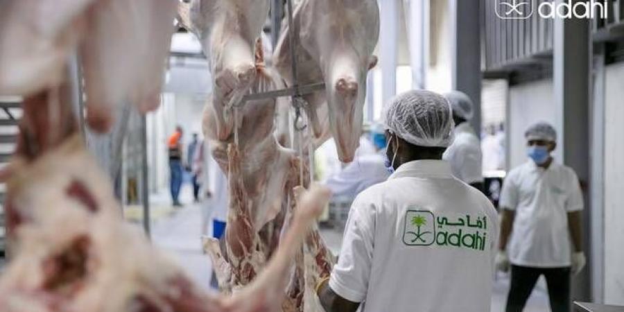 المشرف على مشروع "أضاحي": بيع أكثر من 811 ألف رأس في يوم النحر