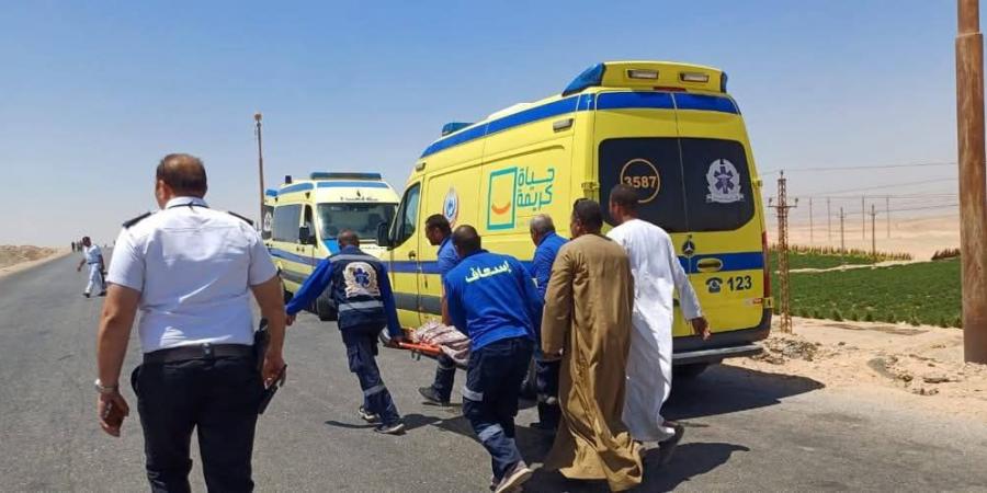 بالاسماء تسمم 20 شخص من وجبة غداء بفرح شعبي بالدقهلية