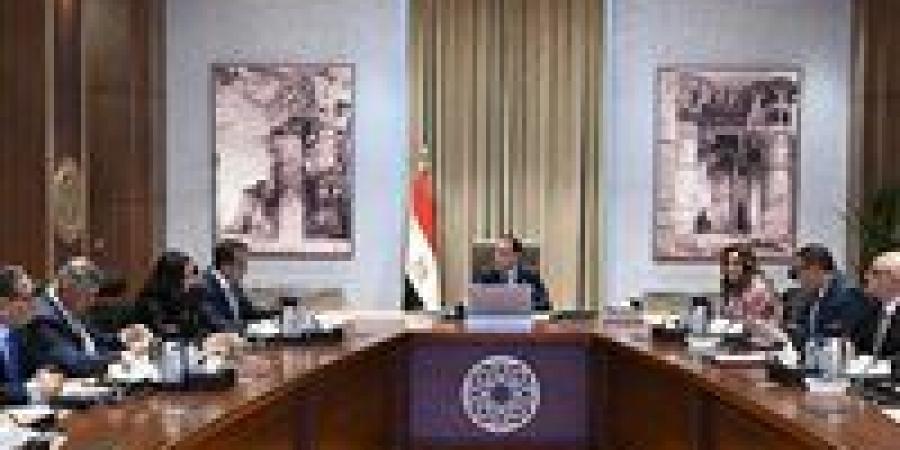زيادة طاقة الرياح والكهروضوئية بحلول 2030.. توجيه عاجل من الوزراء.. تفاصيل