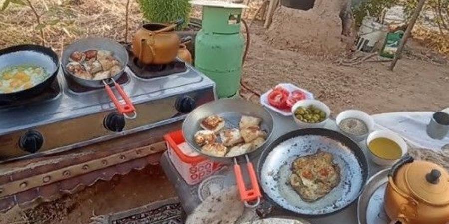 كيف نضمن سلامة الغذاء في الرحلات والنزهات؟