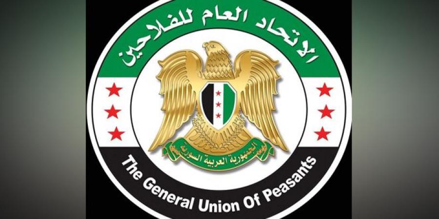 اتحاد الفلاحين: سعر القمح جاء نتيجة حسابات دقيقة لظروف البلاد.. والفلاحون مستعدون لتحمل جزء من المسؤولية الوطنية