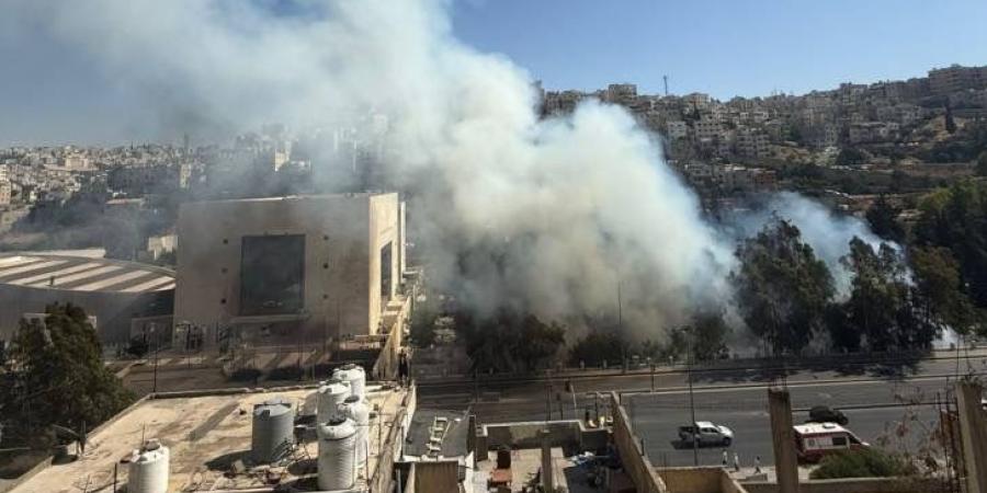 مصدر أمني: نشوب حريق أعشاب الجمعة بمنطقة وسط البلد .. فيديو