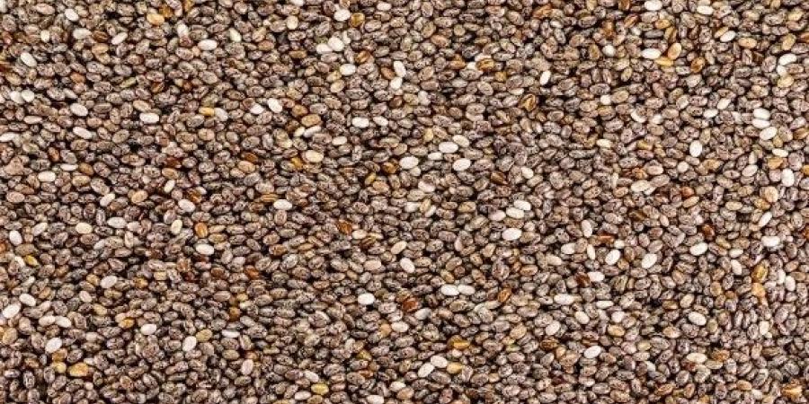دراسة دراسة تؤكد أنّ بذور الشيا تساعد فى خفض ضغط الدم وتقليل الالتهاب