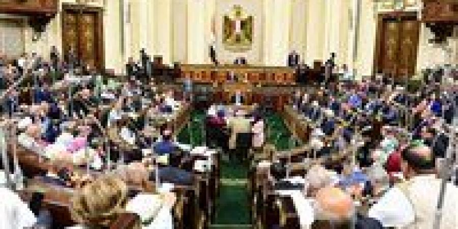 «ناس كتير طلعت معاش»..البرلمان يوصى الحكومة بتعيين العاملين بالعقود المؤقتة