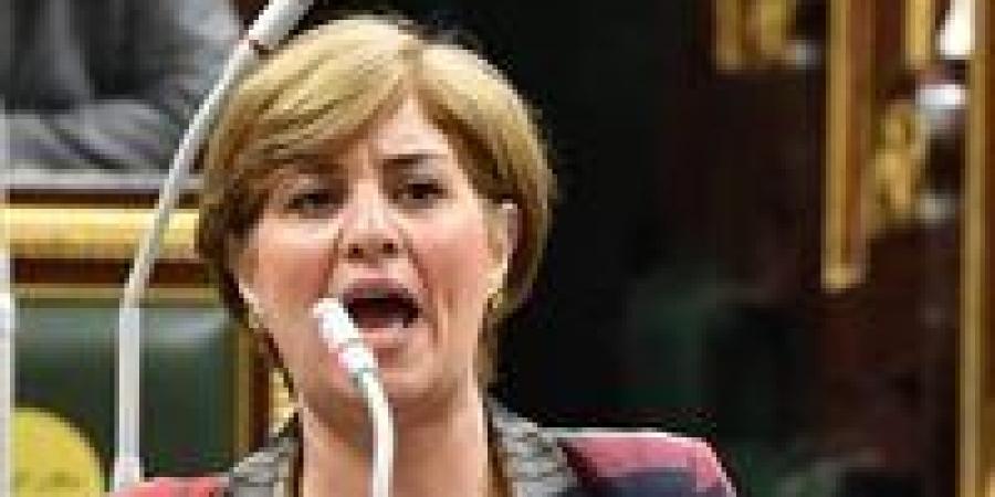 النائبة إيمان العجوز: الشرق على فوهة بركان.. ووعي المصريين هو السلاح الذي لا يُصدأ