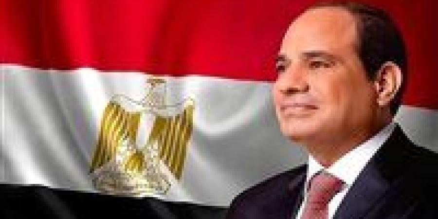 نواب: الرئيس السيسي يقود الدولة بحكمة في مواجهة التحديات وتحقيق التنمية