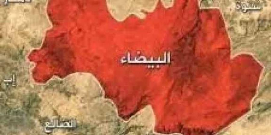 خنق حتى الموت.. جريمة مروعة تهز منطقة قرن الأسد بالبيضاء وسط تصاعد العنف