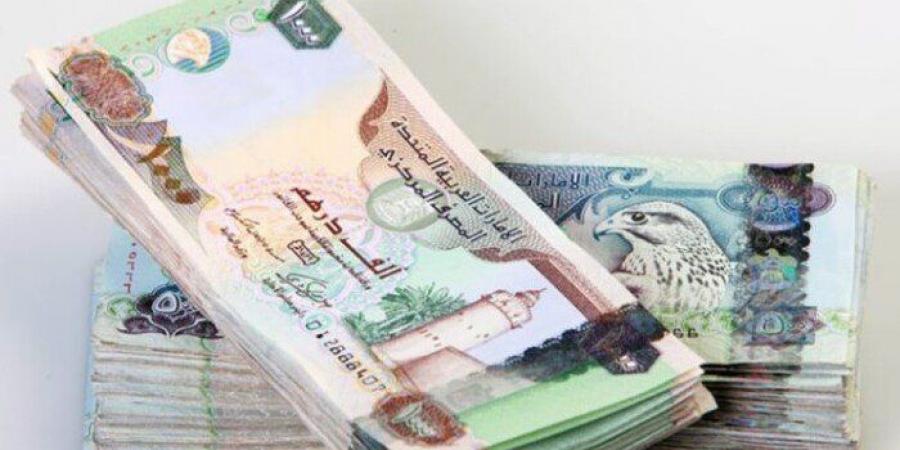 سعر الدرهم الإماراتي مقابل الجنيه المصري اليوم الجمعة 20-6-2025
