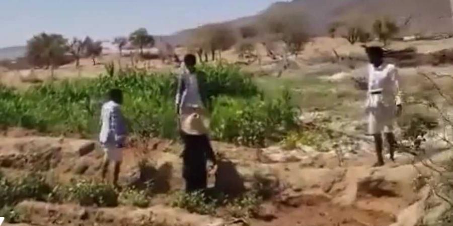 العيب الأسود في صعدة.. ميليشيا الحوثي تضرب امرأة أمام ابنها العاجز (فيديو)