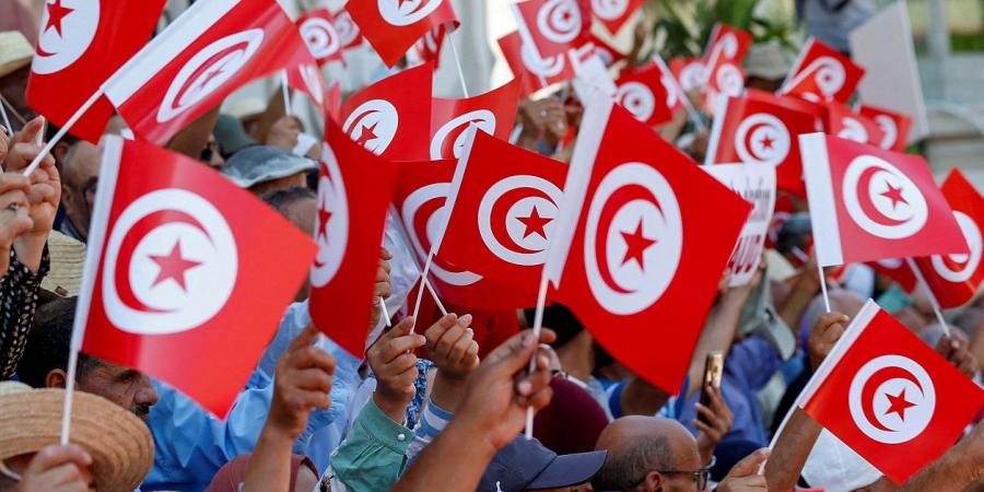 أبرز الأحداث السياسية في تونس خلال أسبوع (من 14 إلى 21 جوان 2025)