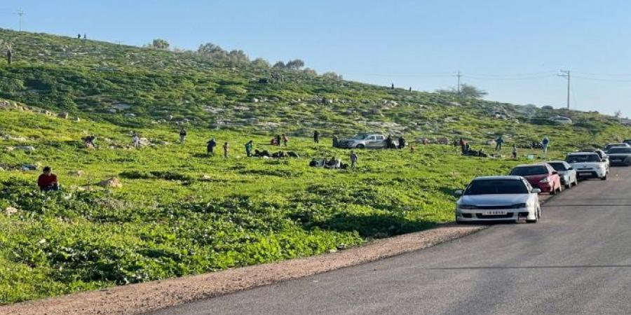 آلاف المتنزهين لمناطق زي وجلعاد والرميمين خلال الصيف وعطل نهاية الأسبوع