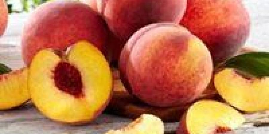خطط للتوسع في زراعة وتصدير الخوخ المصري.. وإجراءات استمرار إنتاجه