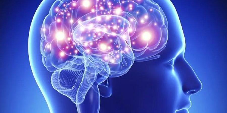 نوع من الفاكهة يساعدك على حماية ذاكرتك من التدهور