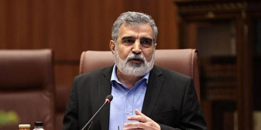 نائب رئيس منظمة الطاقة الذرية الإيرانية: نمو الصناعة النووية لن يتوقف