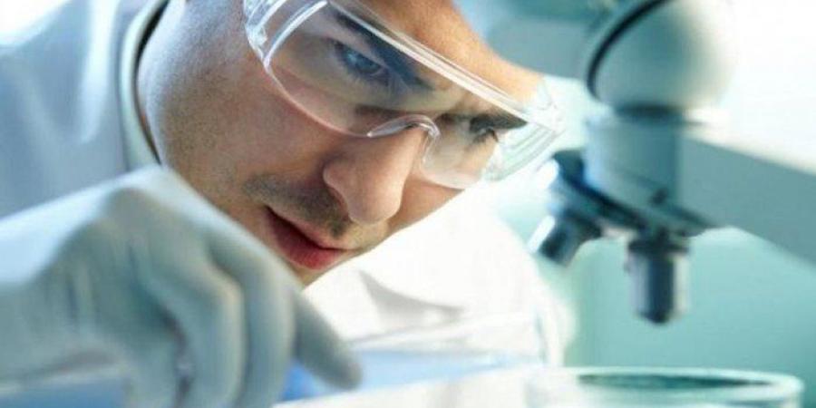 باحثون صينيون يكتشفون آلية تقودهم لمعالجة الاضطرابات الخلقية للأجنة