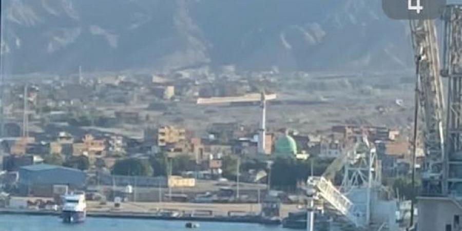 وصول 1057 رأس عجول حية لميناء سفاجا قادمة من جيبوتي