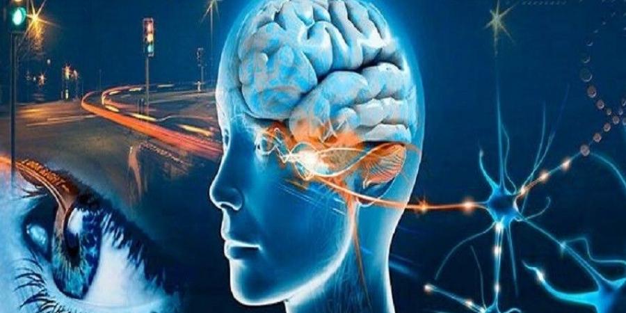 دراسة صادمة: الذكاء الاصطناعي يضعف ذاكرتك