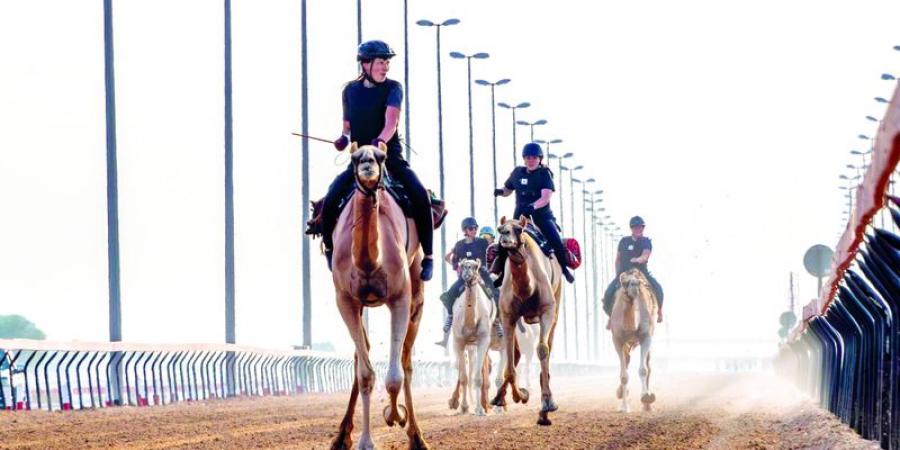 «قيّض متنومس».. اختتام موسم سباقات «رحلة الهجن»