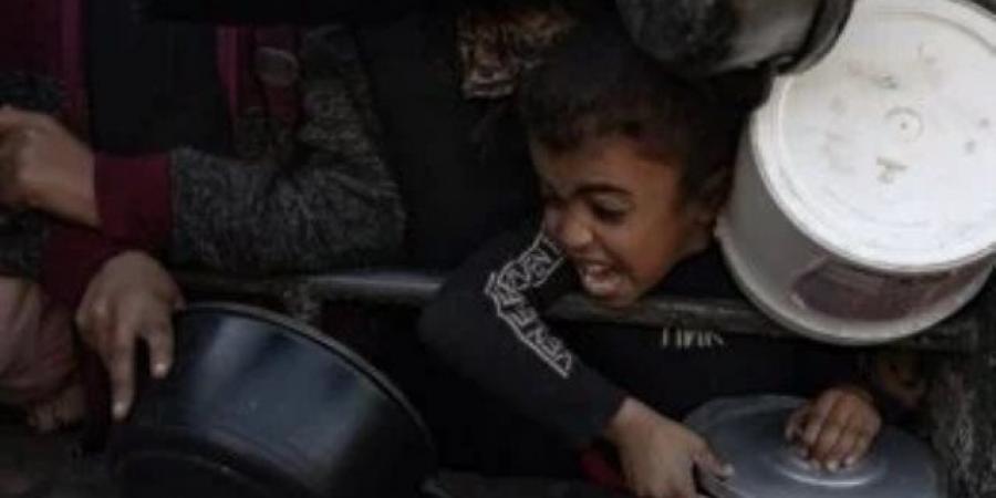 مفوضية الأمم المتحدة لحقوق الإنسان تدين استخدام الغذاء كسلاح في غزة