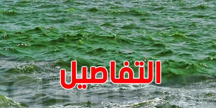 28 نقطة بحرية غير صالحة للسباحة: وزارة الصحة تكشف وتحذر