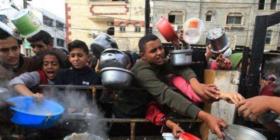 «الأمم المتحدة»: الفلسطينيون يموتون وهم يحاولون الوصول للغذاء
