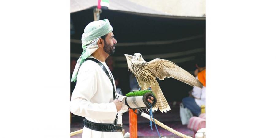 مدرسة الصبر والشجاعة