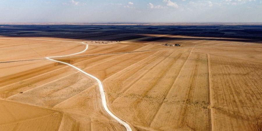 الجفاف يعرّض 16 مليون سوري لانعدام الأمن الغذائي وتلف محاصيل القمح