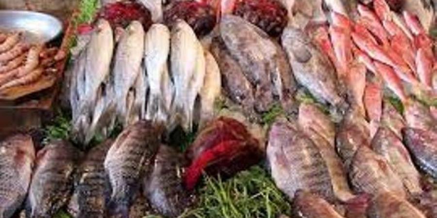 أسعار الأسماك اليوم الجمعة 27-6-2025 