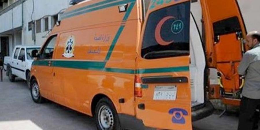 مصرع طفل وإصابة 5 أشخاص إثر تصادم سيارة ملاكي وأتوبيس بالشرقية