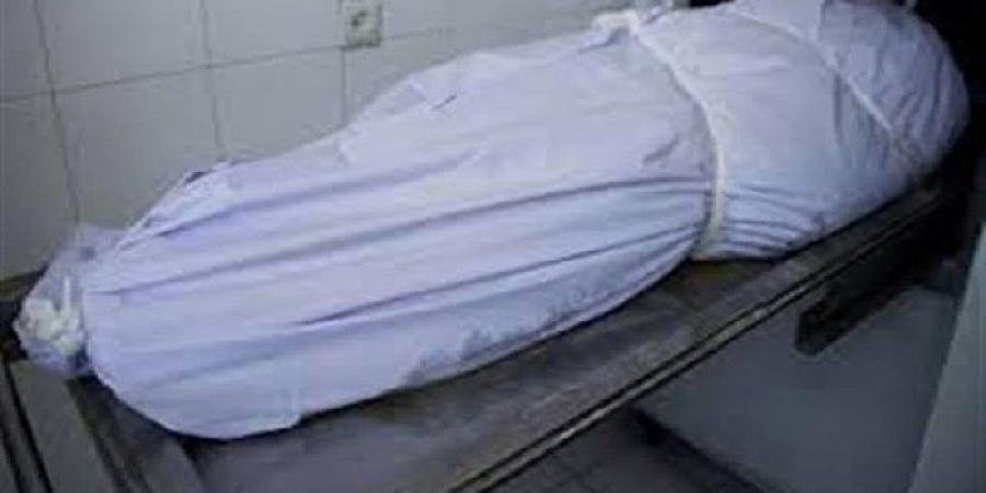 مصرع أمين شرطة في القليوبية دهسًا على يد سائق ميكروباص أثناء تأدية عمله
