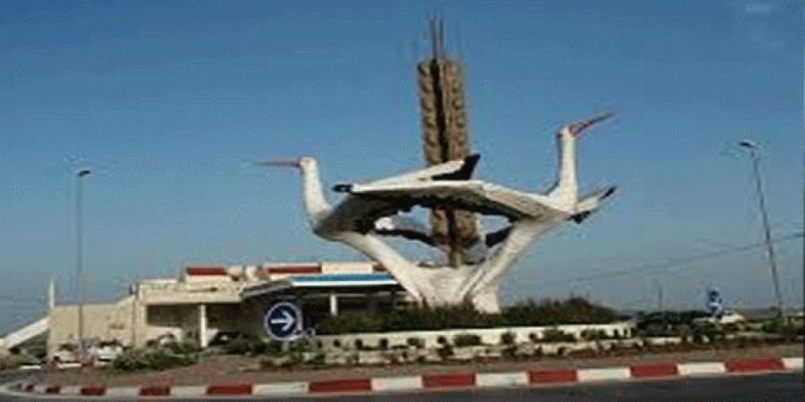 باجة: بعث شركة اهلية مختصة فى المنتوجات الفلاحية البيولوجية بعمدون