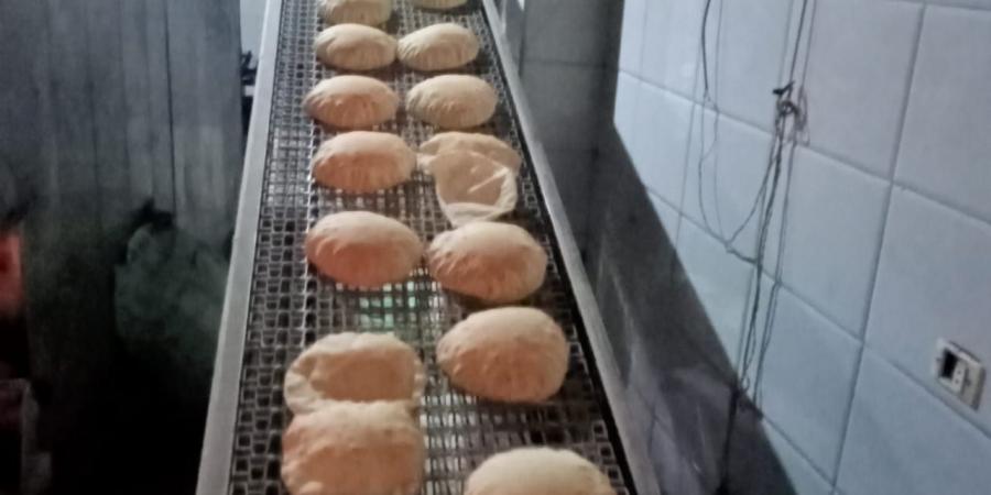 حملات تموينة بكفرالشيخ