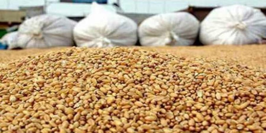 ديوان الحبوب يُعلن عن انطلاق خلاص مستحقات مزارعي الحبوب بولاية القيروان وسيدي بوزيد وزغوان
